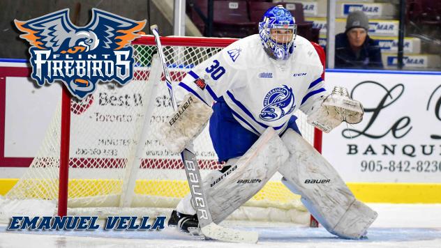 Goaltender Emanuel Vella with the Mississauga Steelheads