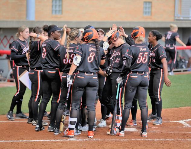 Chicago Bandits congratulate Kristyn Sandberg on her home run