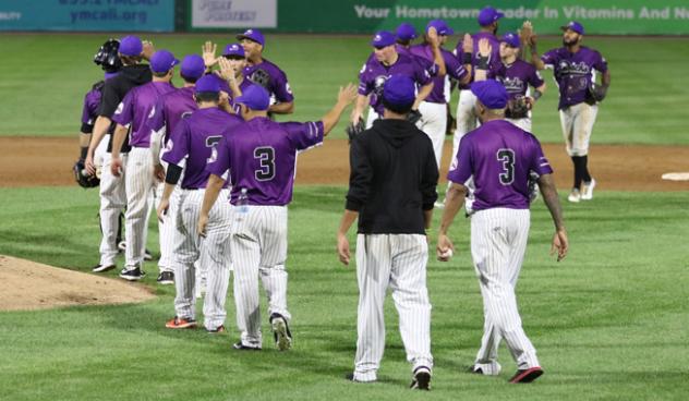 Long Island Ducks exchange high fives after a win