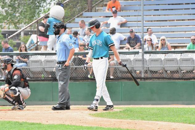 Michael Michalak of the Rochester Honkers approaches the plate