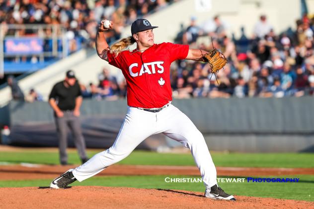 Victoria HarbourCats pitcher Gunnar Friend was stellar on the mound