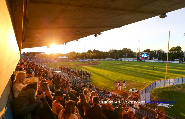 A beautiful night for baseball with the Victoria HarbourCats