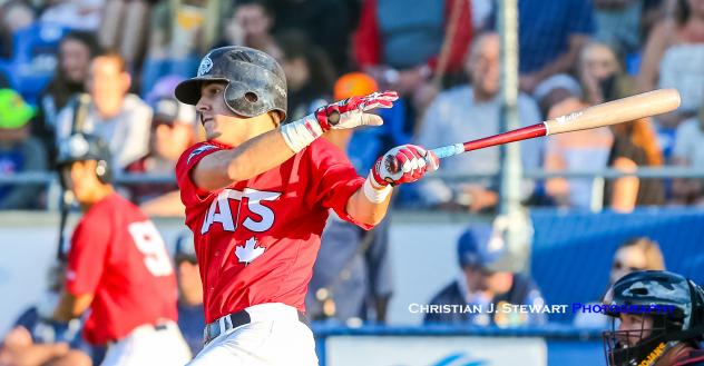 Ryan Ober of the Victoria HarbourCats