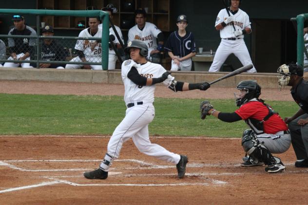 Charleston RiverDogs catcher Jason Lopez