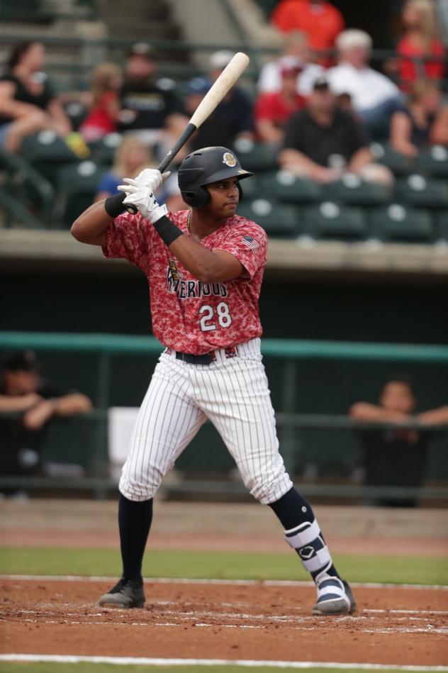 Charleston RiverDogs first baseman Dermis Garcia