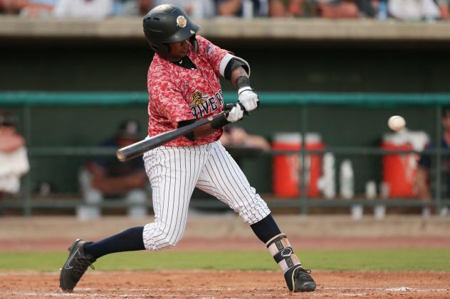 Welfrin Mateo of the Charleston RiverDogs