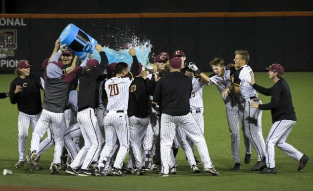 The Corvallis Knights celebrate their win in the North Divisional Series