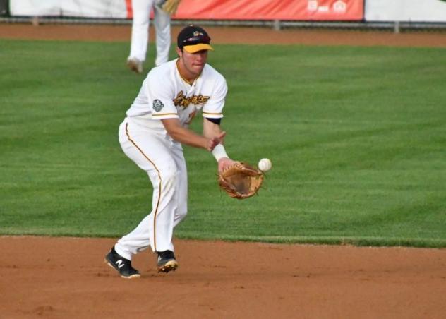 Willmar Stingers field a ball in the infield