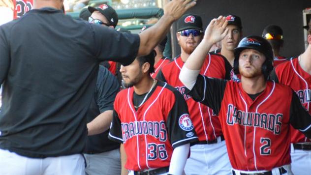 Hickory Crawdads celebrate in the dugout