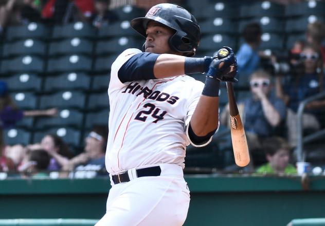 Bowling Green Hot Rods C Ronaldo Hernandez