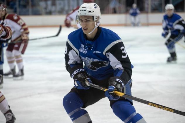 Saint John Sea Dogs in action