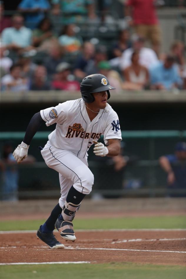 Wilkerman Garcia of the Charleston RiverDogs