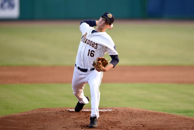 Charleston RiverDogs pitcher Janson Junk