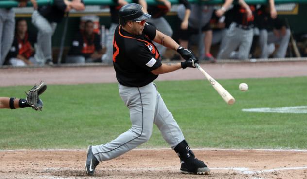 Dioner Navarro of the Long Island Ducks connects on a pitch