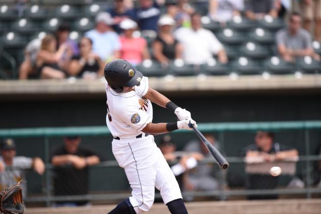 Dermis Garcia delivers a big blow for the Charleston RiverDogs