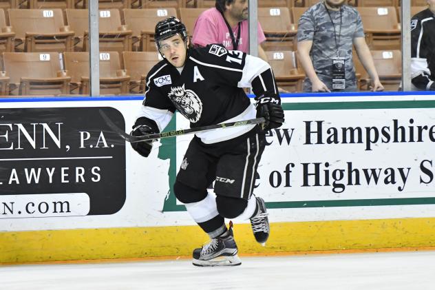 Gasper Kopitar of the Manchester Monarchs