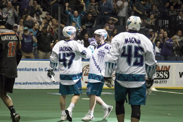 The Rochester Knighthawks celebrate a goal against New England