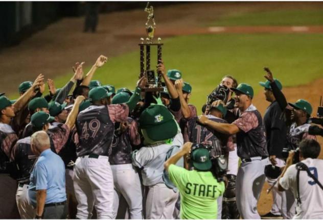 Daytona Tortugas celebrate North Division championship