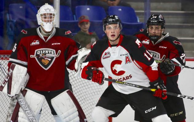 Vancouver Giants goaltender Braedy Euerby vs. the Prince George Cougars