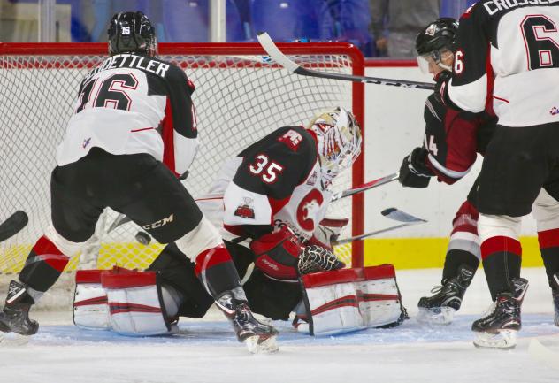 Prince George Cougars goaltender Taylor Gauthier vs. the Vancouver Giants