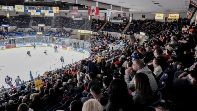 A crowd at The Dow watches the Saginaw Spirit