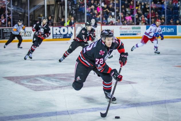 Niagara IceDogs in preaseason play
