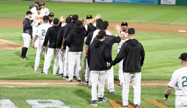Long Island Ducks exchange victory high fives