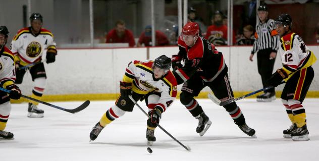 Maryland Black Bears in action