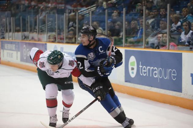Saint John Sea Dogs vs. the Halifax Mooseheads