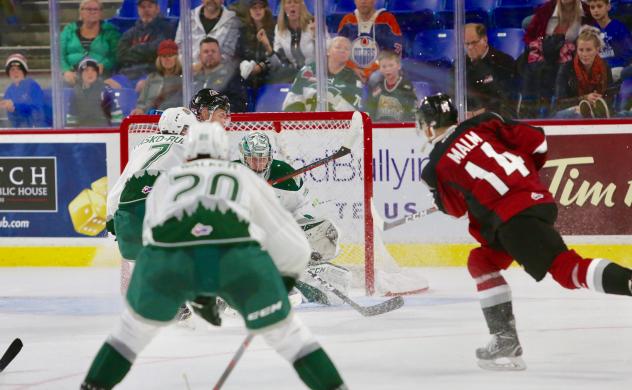 James Malm of the Vancouver Giants takes a shot against the Everett Silvertips
