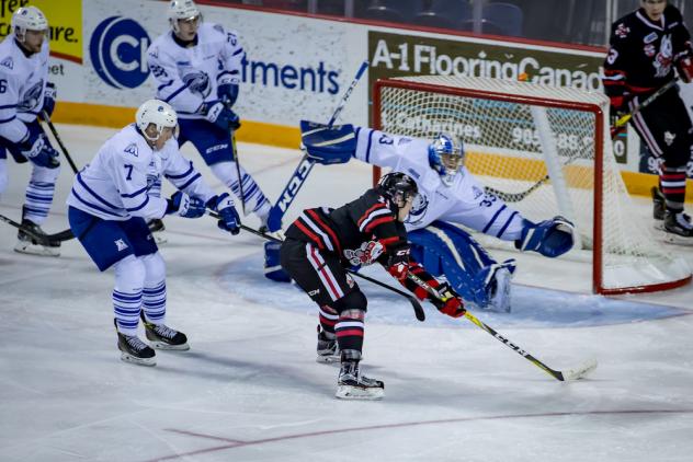 Niagara IceDogs take a shot against the Mississauga Steelheads