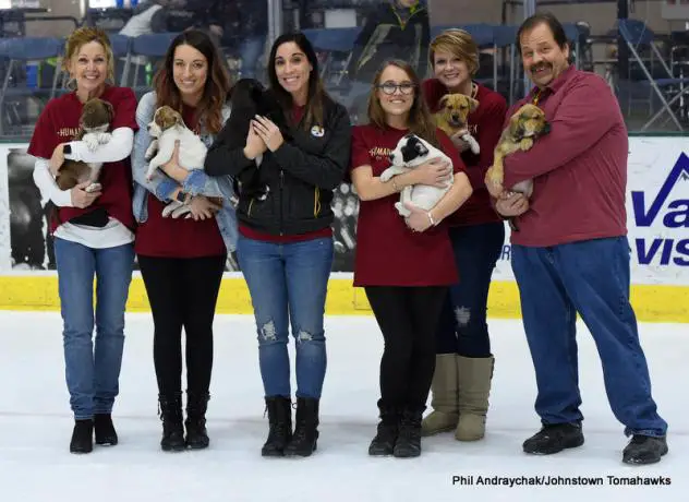 Johnstown Tomahawks Pucks and Paws Promotion