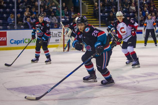 Kelowna Rockets RW Leif Mattson vs. the Prince George Cougars