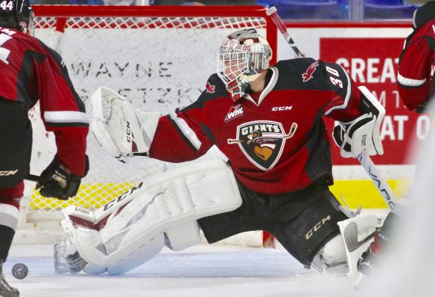 Vancouver Giants goaltender David Tendeck