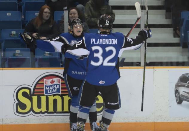 Saint John Sea Dogs celebrate a Charlie DesRoches goal