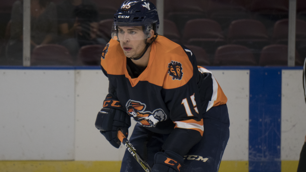 Greenville Swamp Rabbits defenseman J.C. Brassard