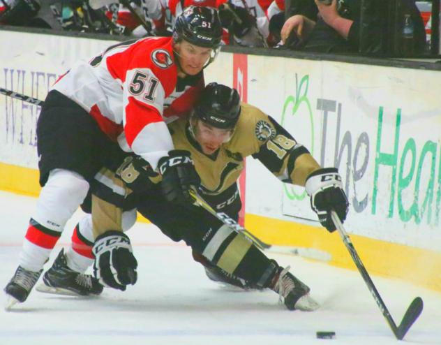 Wheeling Nailer vie for a loose puck vs. the Cincinnati Cyclones in preseason action