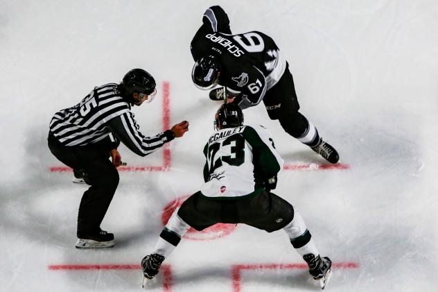 Utah Grizzlies and Idaho Steelheads face off