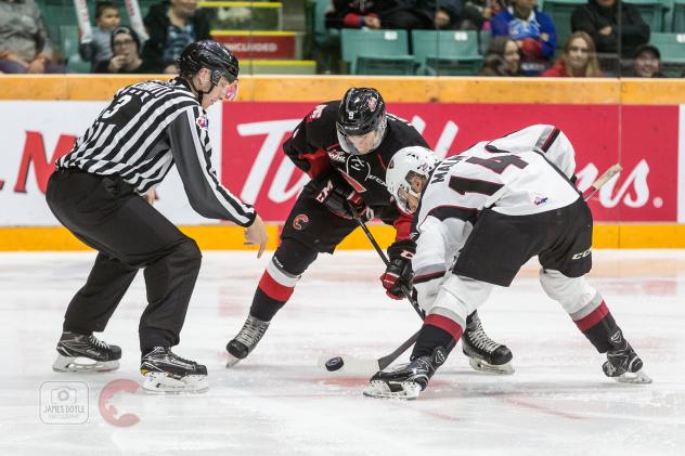 James Malm of the Vancouver Giants (14) in a face off at Prince George