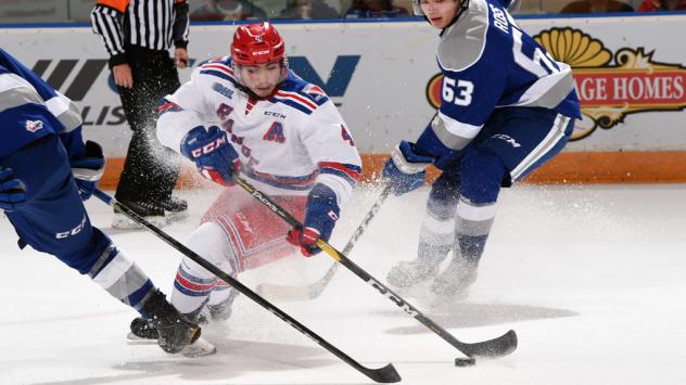 Kitchener Rangers battle the Sudbury Wolves