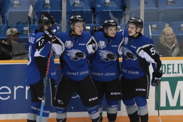 Saint John Sea Dogs celebrate a goal against the Cape Breton Screaming Eagles