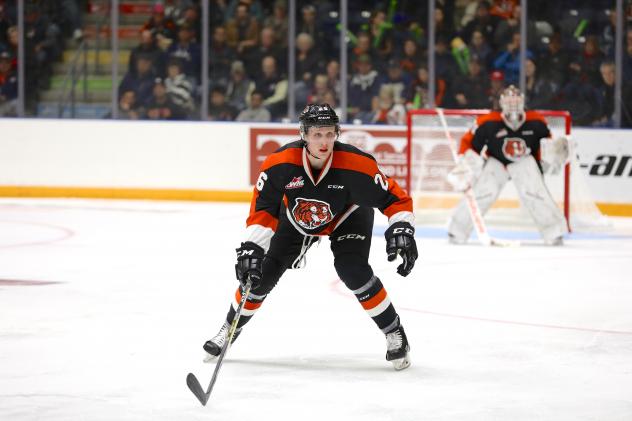 Defenceman Dalton Gally with the Medicine Hat Tigers