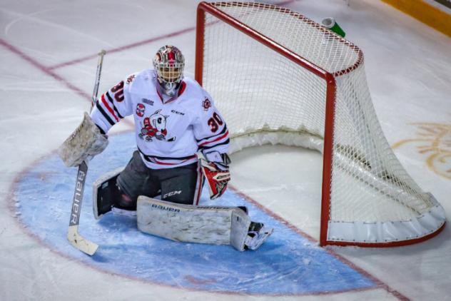 Niagara IceDogs goaltender Stephen Dhillon