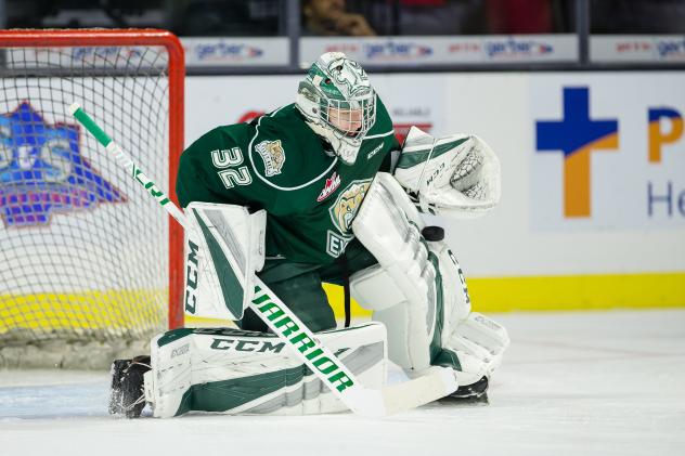 Everett Silvertips in goal