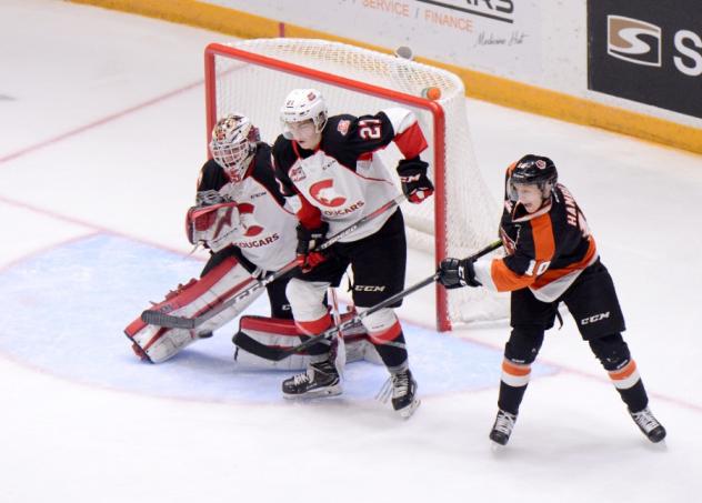 Prince George Cougars defend the goal vs. the Medicine Hat Tigers