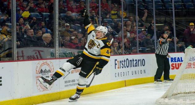 Hamilton Bulldogs captain Mackenzie Entwistle celebrates with the fans