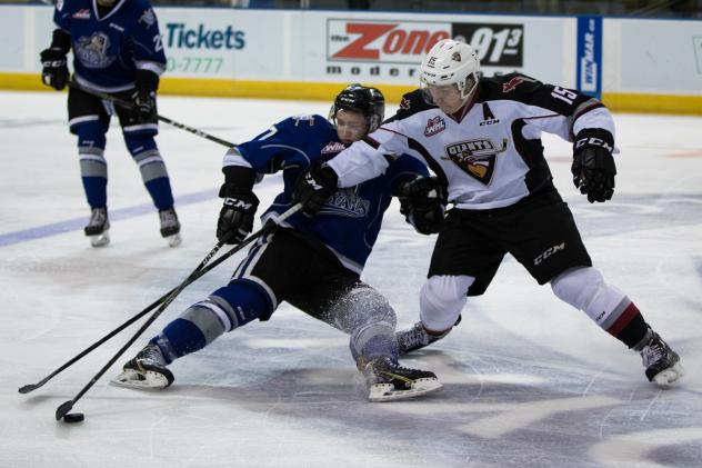 Vancouver Giants LW Owen Hardy reaches for the puck vs. the  Victoria Royals