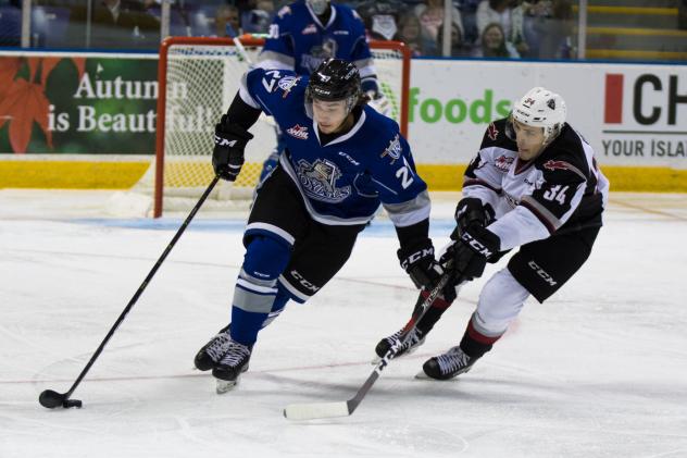Brayden Watts of the Vancouver Giants (34) reaches for the puck vs. the Victoria Royals