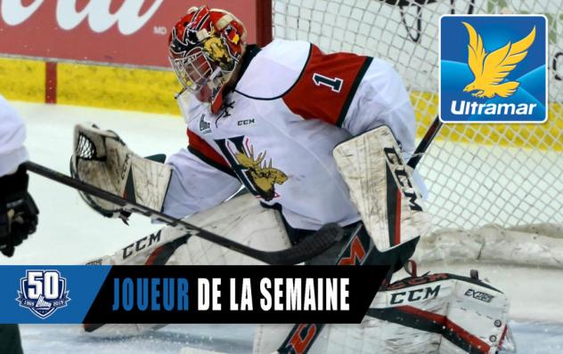 Halifax Mooseheads goaltender Alexis Gravel