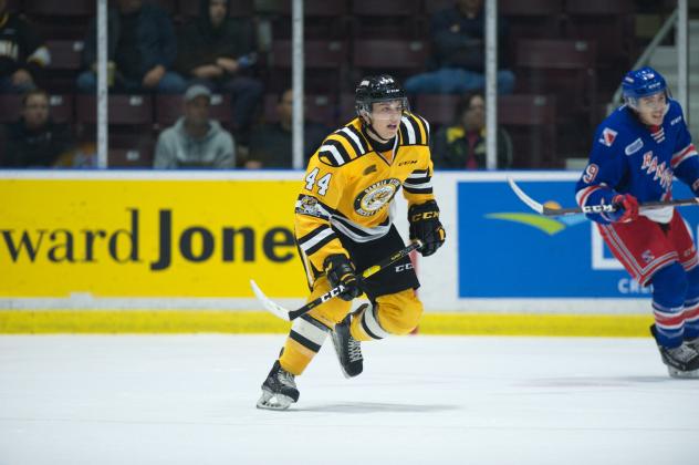 Sarnia Sting rookie forward Jacob Perreault